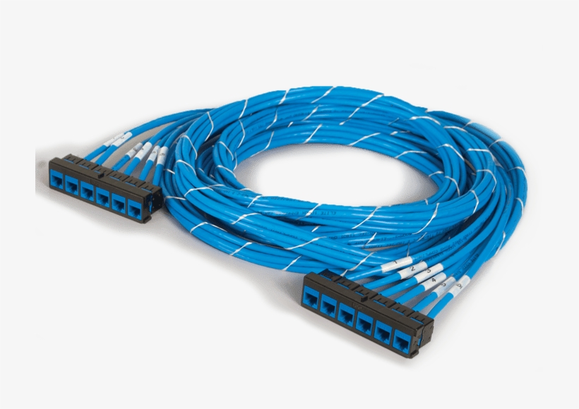 Bezel To Bezel - Ethernet Cable, transparent png #8119608
