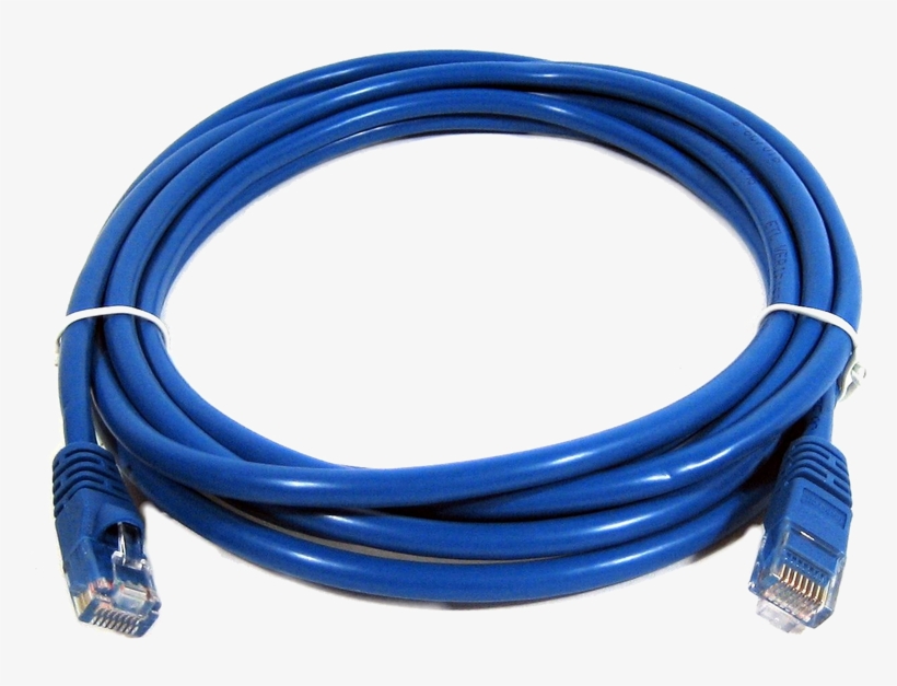 800 X 800 5 - Utp Cat6 Patch Cord, transparent png #8119977