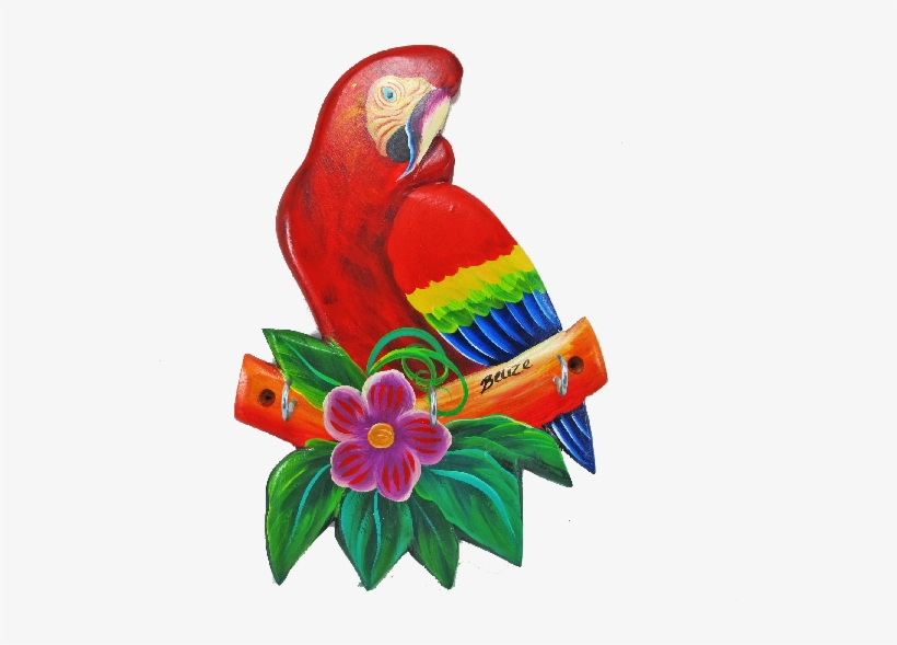 Scarlet Macaw Clipart Transparent - Macaw, transparent png #8120825