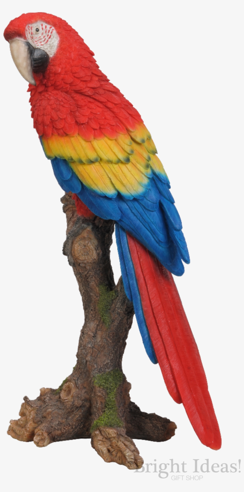 Red Macaw Exotic Bird Vivid Arts Real Life - Parrot Perching On Tree, transparent png #8120964