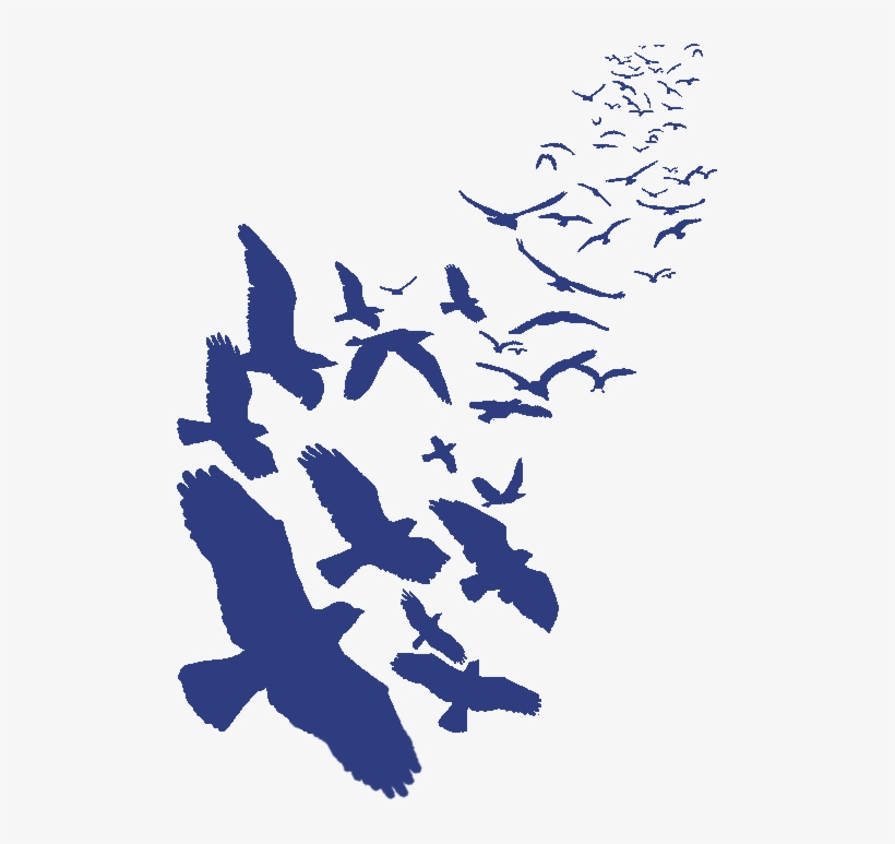 Ravencoin Logo - Flock Of Birds Drawing, transparent png #8121691