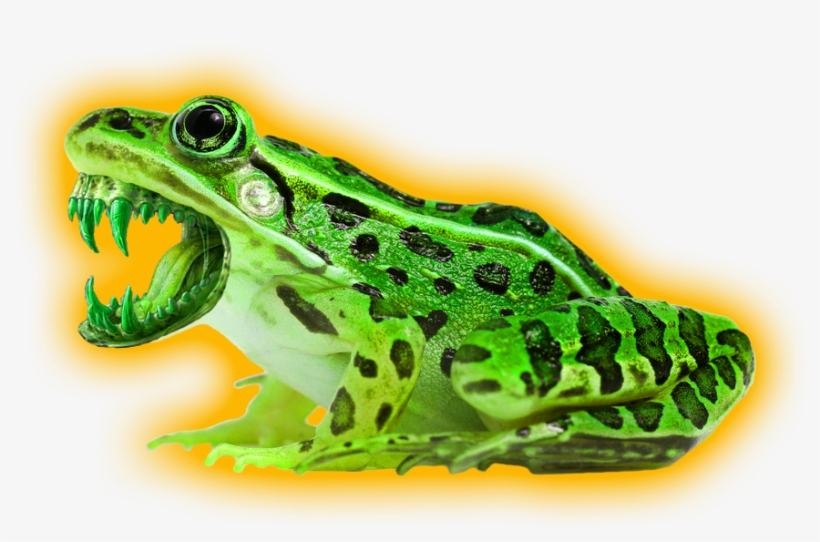 David Liebe Hart - Gilaki Language, transparent png #8123311