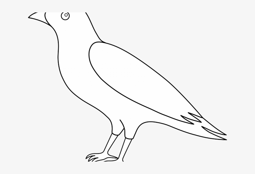 Crow Clipart Flying - Pigeons And Doves, transparent png #8123511