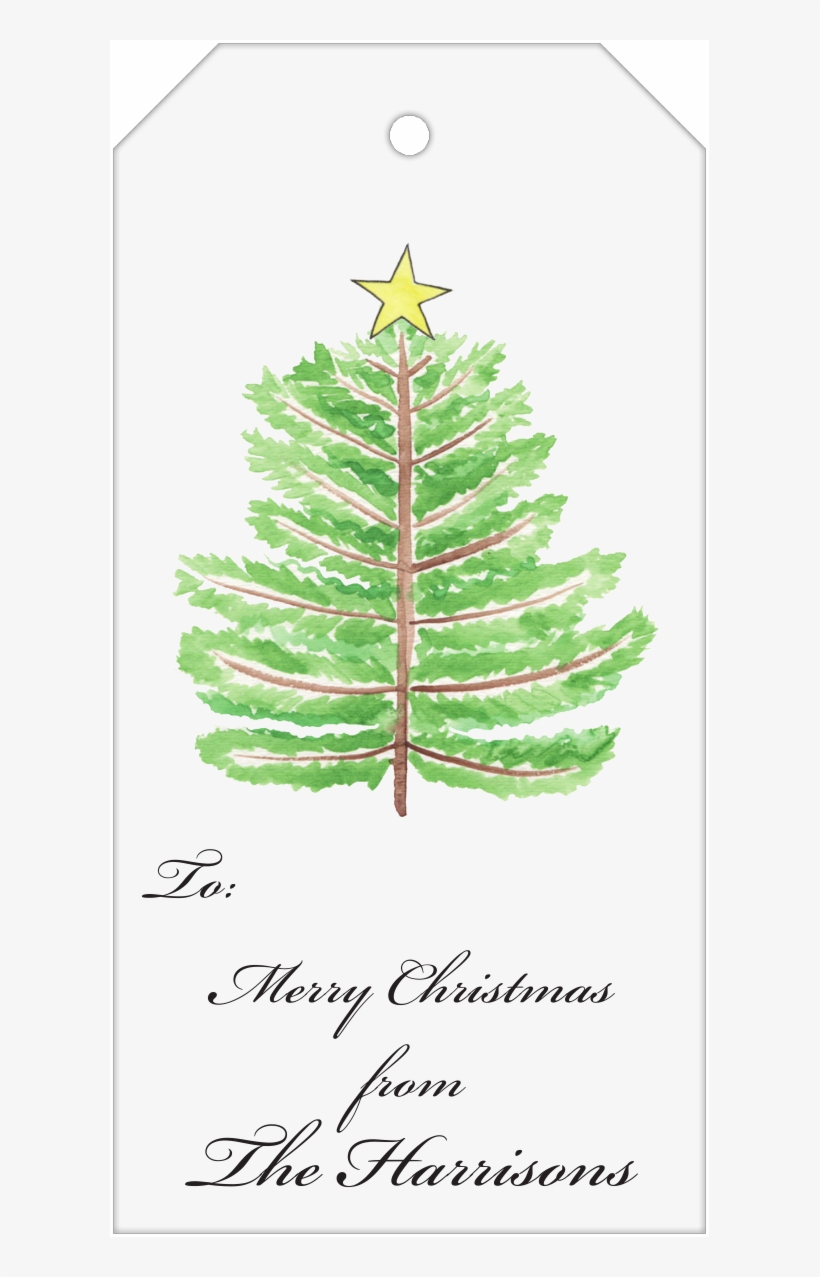 Christmas Tree, transparent png #8124467