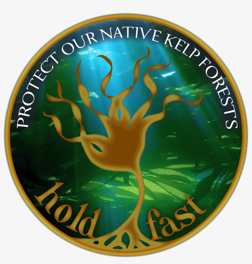 Click Here To Download, transparent png #8126391