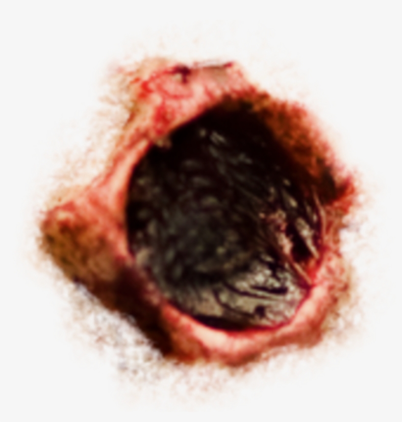 Bullethole Png, transparent png #8127314