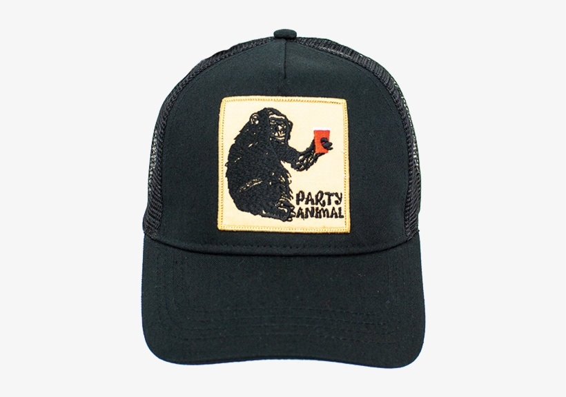 Baseball Cap, transparent png #8128869