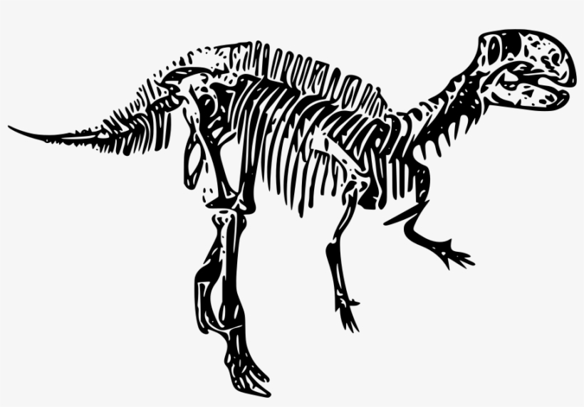 Download Png - Dinosaur, transparent png #8129624