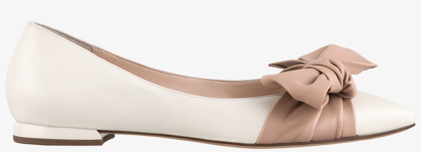 Image - Ballet Flat, transparent png #8129684