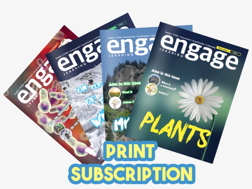 Choose Your Subscription - Flyer, transparent png #8130627