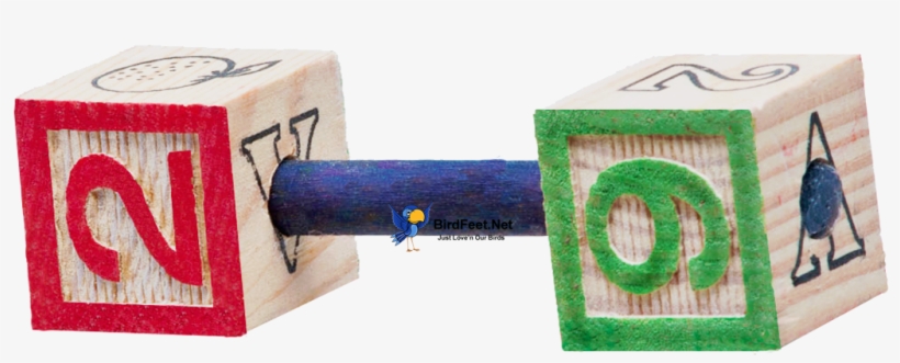 Superbird, Abc Blocks Barbell, For Pet Birds - Wood, transparent png #8130686