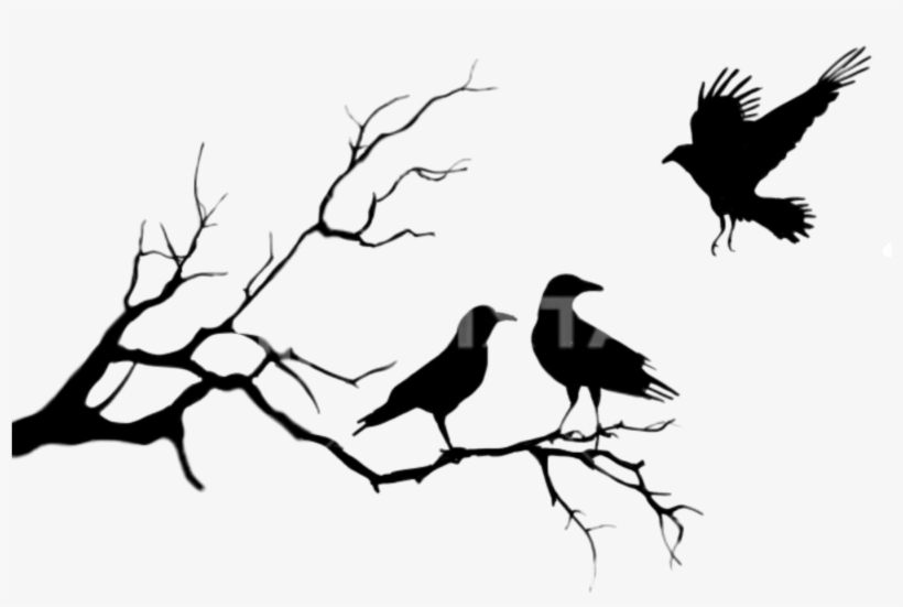 Birds Png Black Sticker Photography Freetoedit - Couple Cross Stitch Free, transparent png #8131361