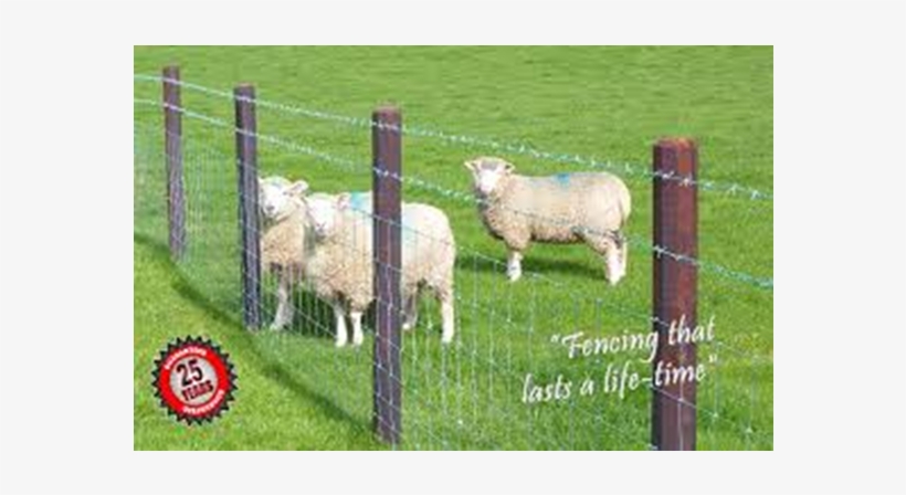 Octopost - Octopost Fencing, transparent png #8131515