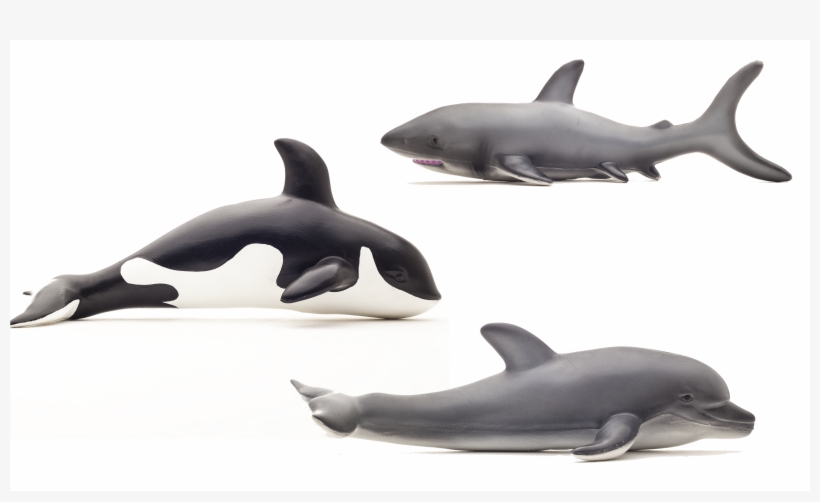 Tap To Expand, transparent png #8132001