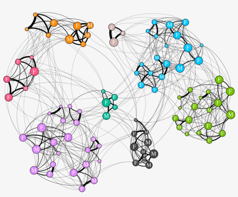 An Example Annual Social Network For The Southern Resident - Drawing, transparent png #8132355