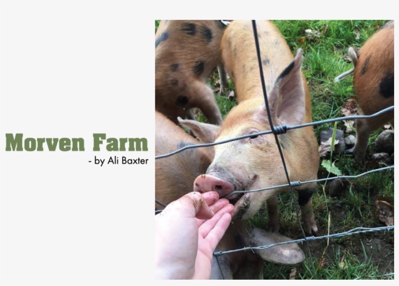 140artboard 1-101w - Merrill Lynch, transparent png #8132357