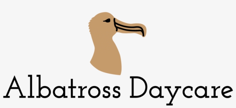 Duck, transparent png #8132461