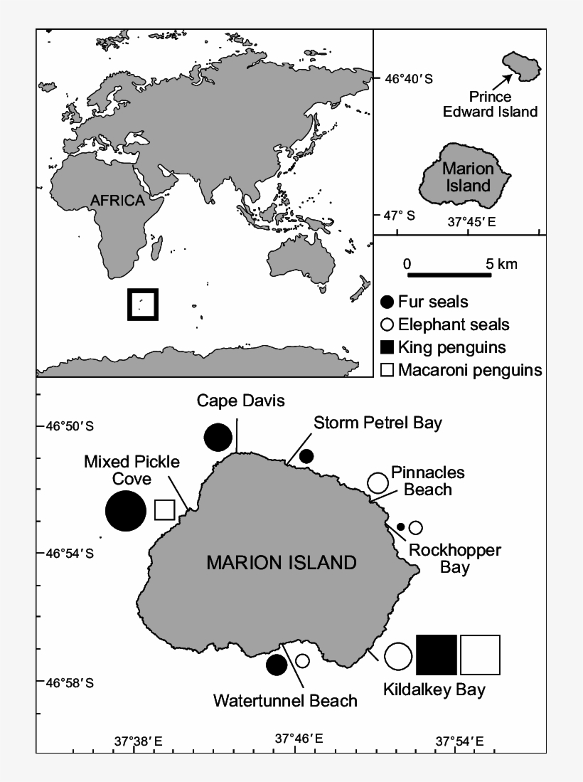 Map Of Marion Island Showing The Locations Where Dedicated - World Map Mark Off Where You Ve Been, transparent png #8132573