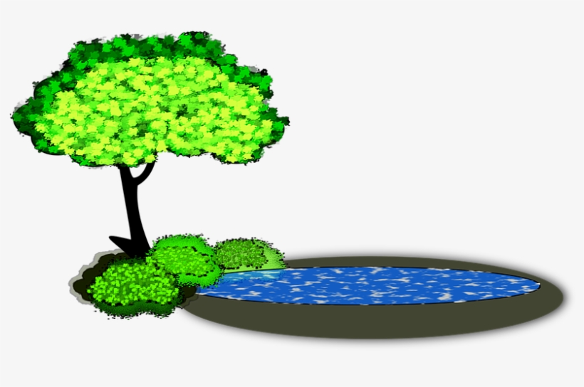 Lily Pad X Dumielauxepices - ภาพ เวก เตอร์ ต้นไม้, transparent png #8133250