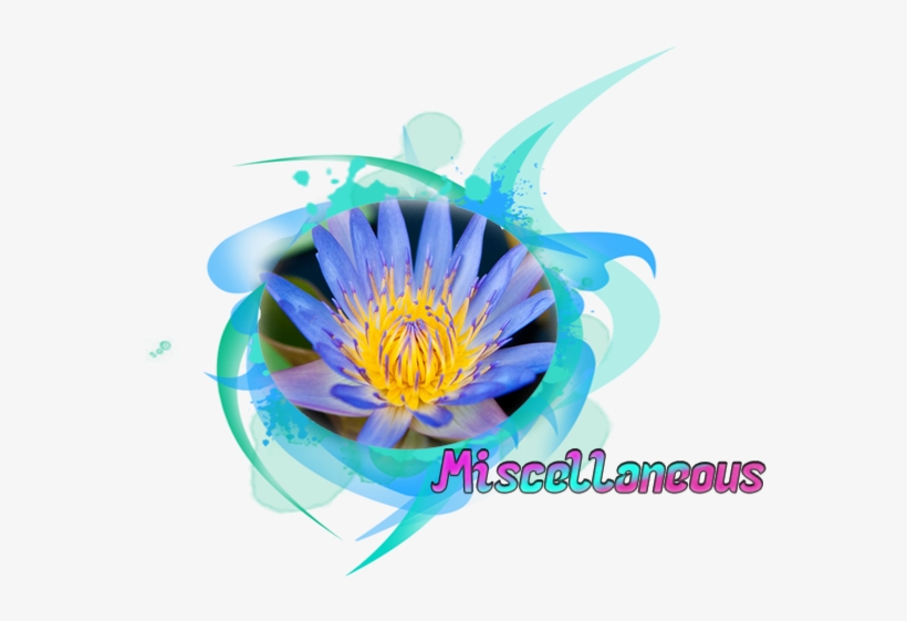 The Bookworm's Solace Zamy's Lily Pad - Illustration, transparent png #8134082