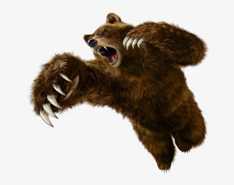 Clipart Transparent Download Kuma Png Tekken Artwork - Tekken 6 Kuma, transparent png #8134190