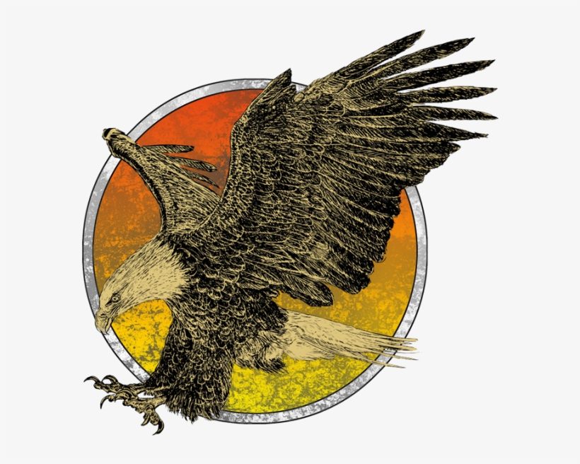 Eagle Flying - Eagle, transparent png #8134232