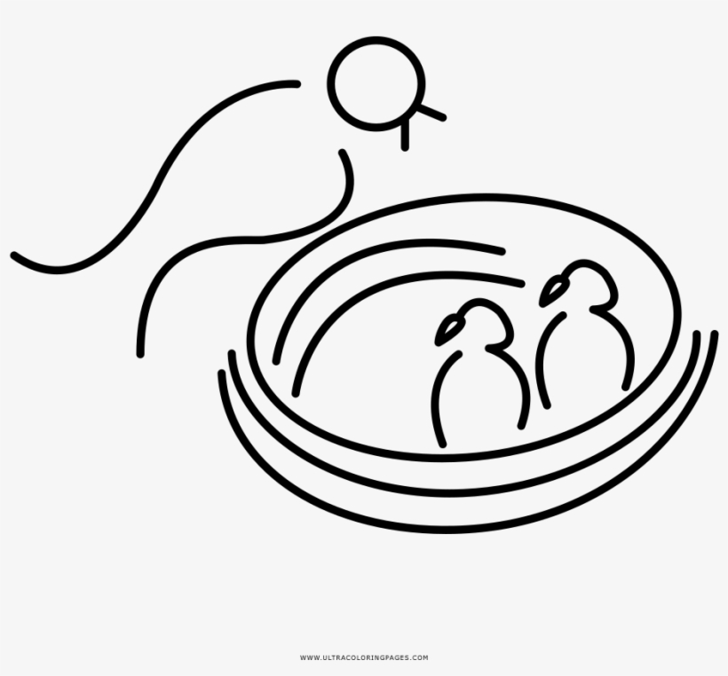 Bird Nest Coloring Page With Ultra Pages - Line Art, transparent png #8134507