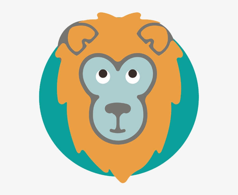 Lion, transparent png #8134729