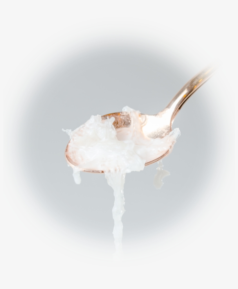 Indonesia Coconut Milk Bird's Nest - Bittern, transparent png #8134732