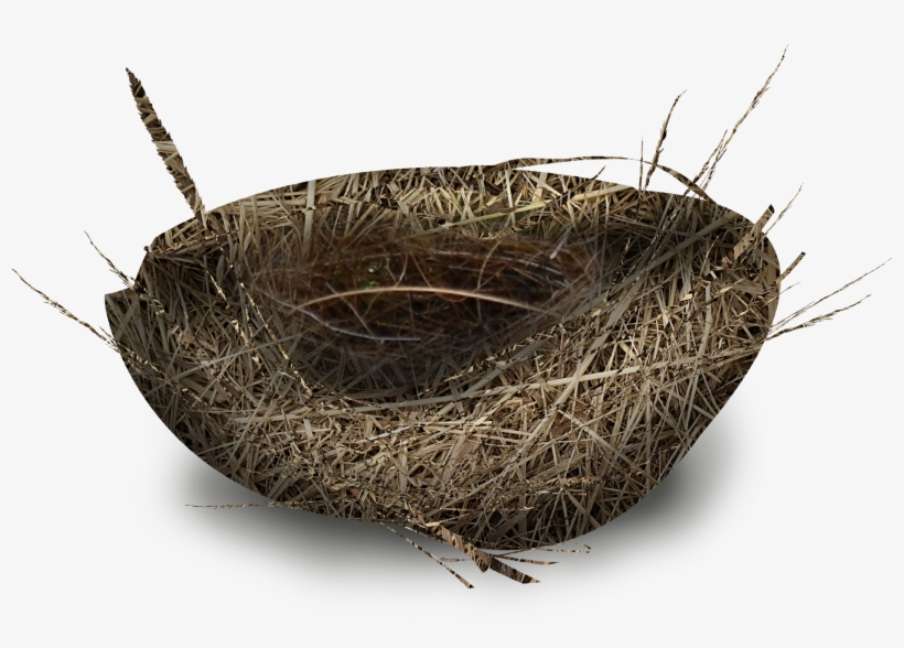 Storage Basket, transparent png #8134871