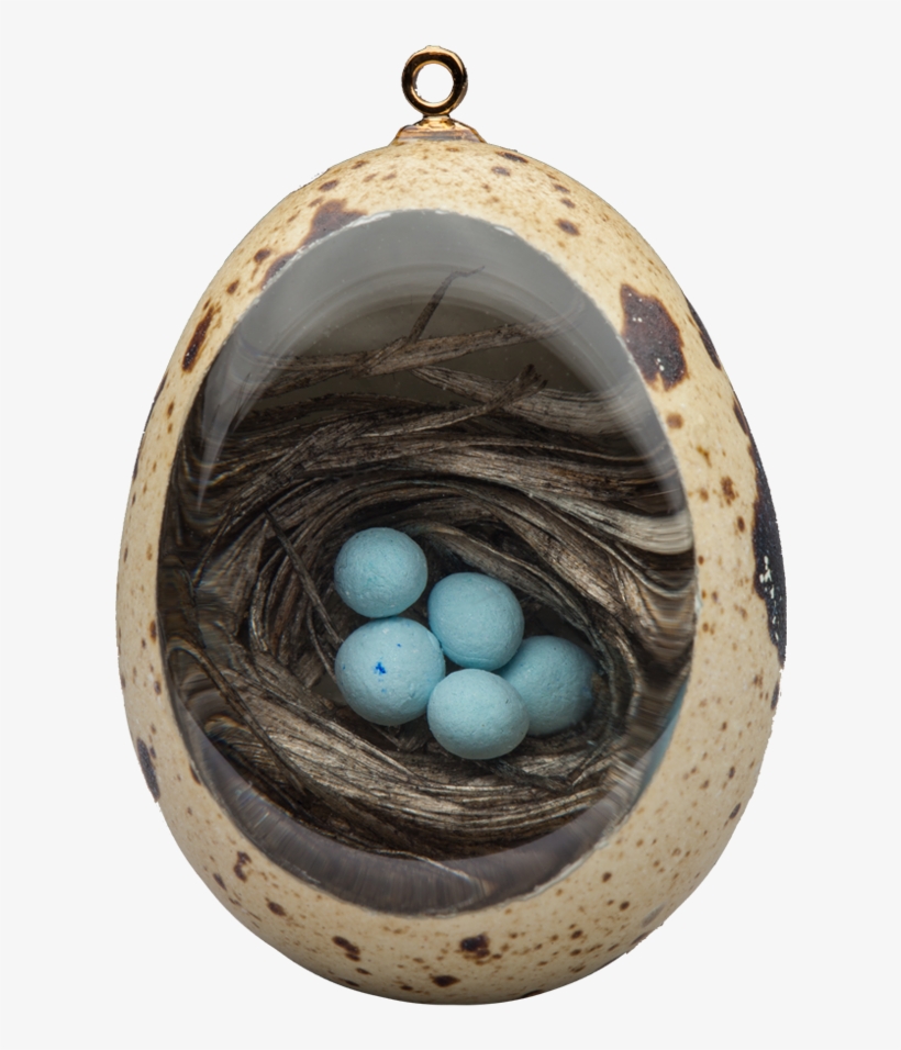 Robin's Nest - Locket, transparent png #8135027