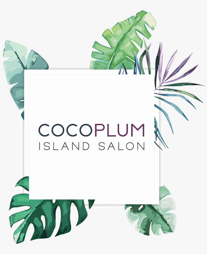 Full Logo - Illustration, transparent png #8135318