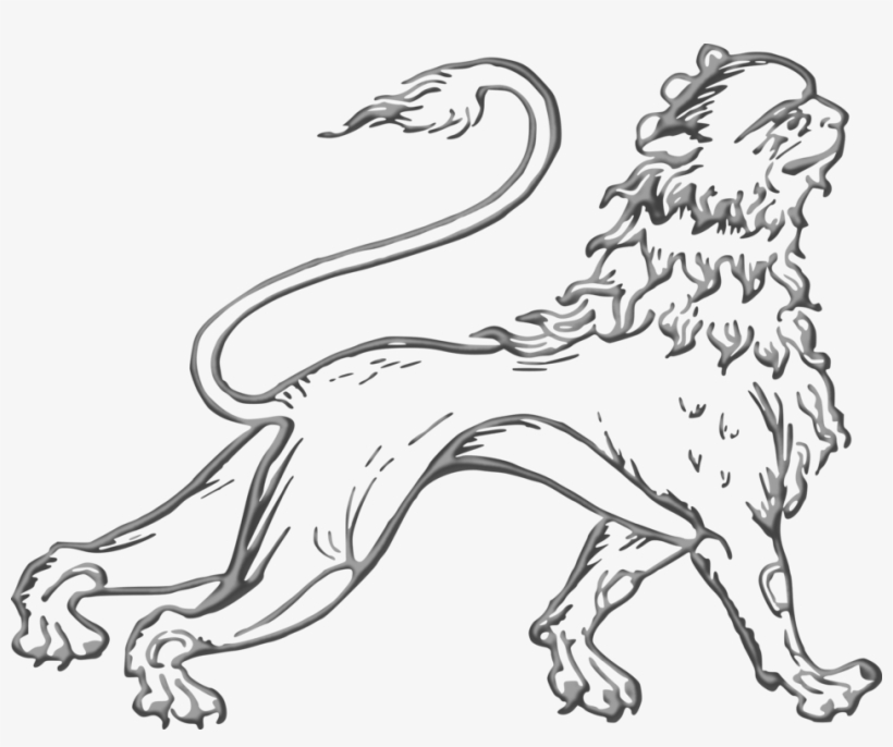 Sea Lion Dog Breed Felidae Drawing - Lion, transparent png #8135957