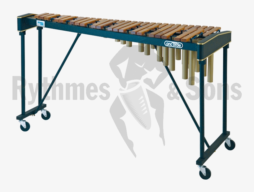 Concorde 4002 Xylophone4 Octaves - Marimba Concorde, transparent png #8137746