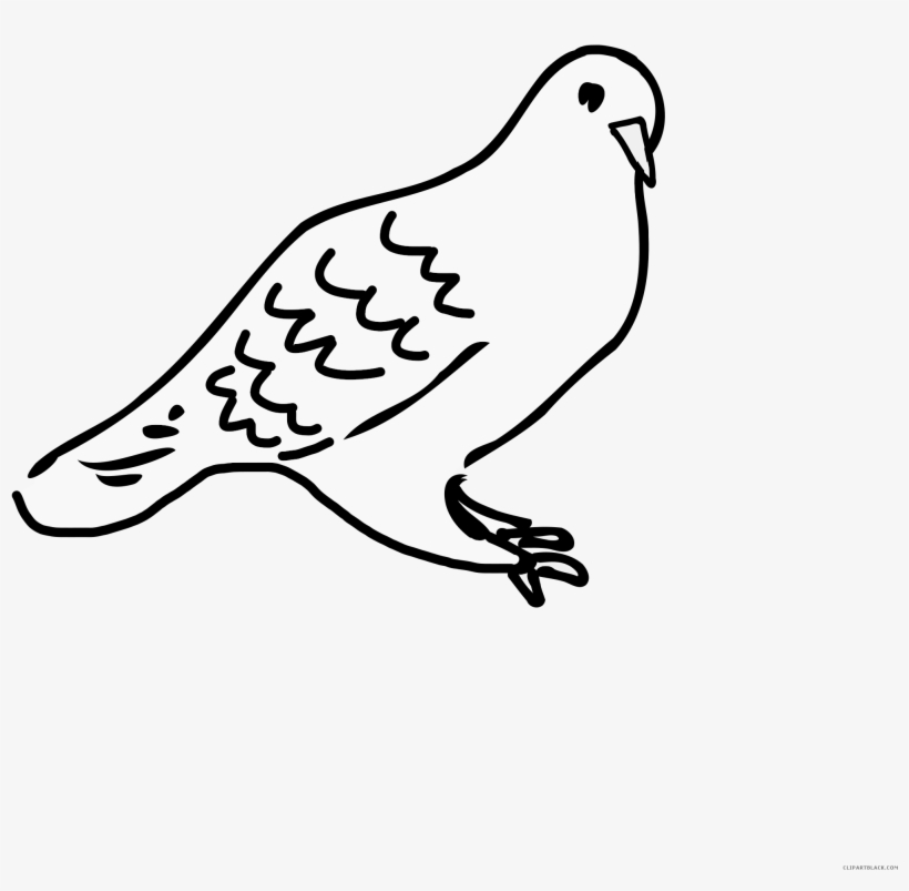 Love Doves Animal Free Black White Clipart Images Clipartblack - Clip Art, transparent png #8138032