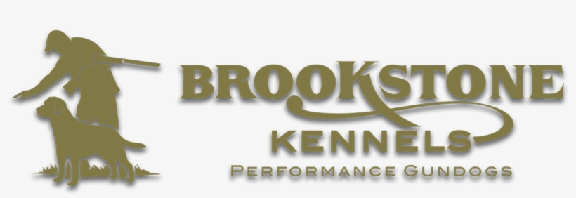 Calligraphy, transparent png #8138867