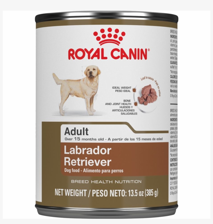 Adult Labrador Retriever Canned Dog Food - Royal Canin Golden Retriever Dog Food, transparent png #8139094