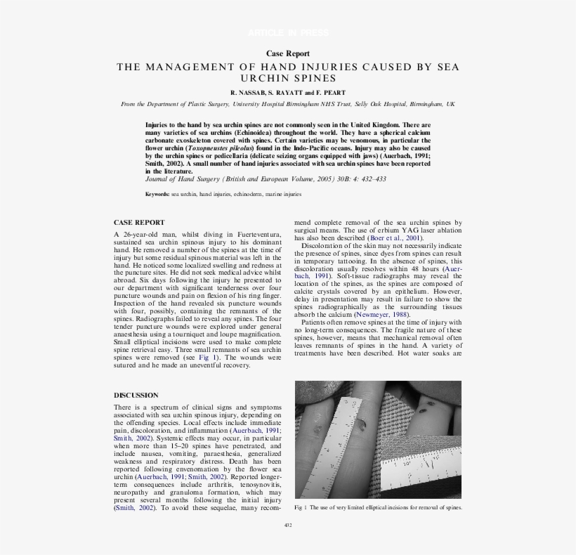 Pdf - (page 12), transparent png #8139313