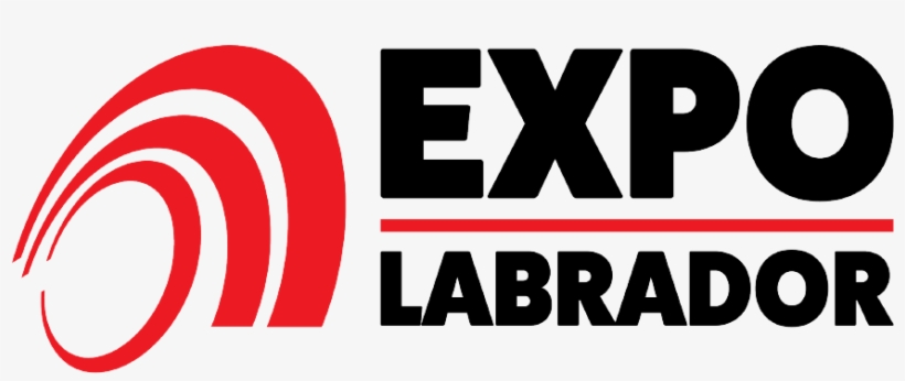 Expo Labrador - Oval, transparent png #8140292