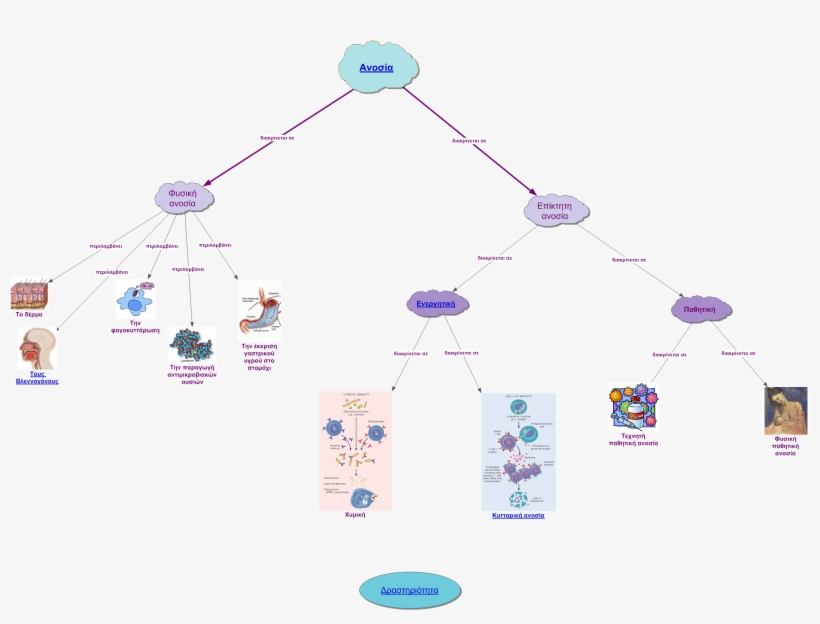 Created Using Inspiration® 9 International English - Water Bottle, transparent png #8140518