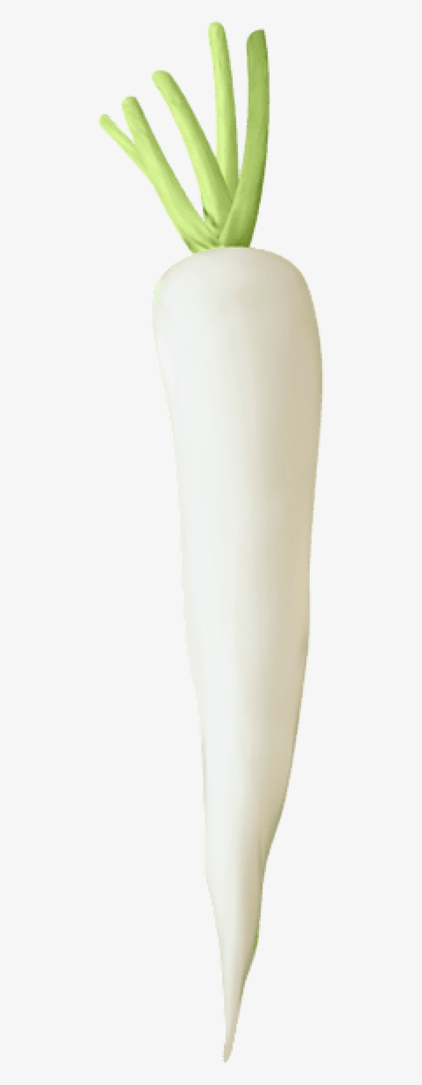 Free Png Download Turnip Transparent Png Images Background - Girl, transparent png #8141507