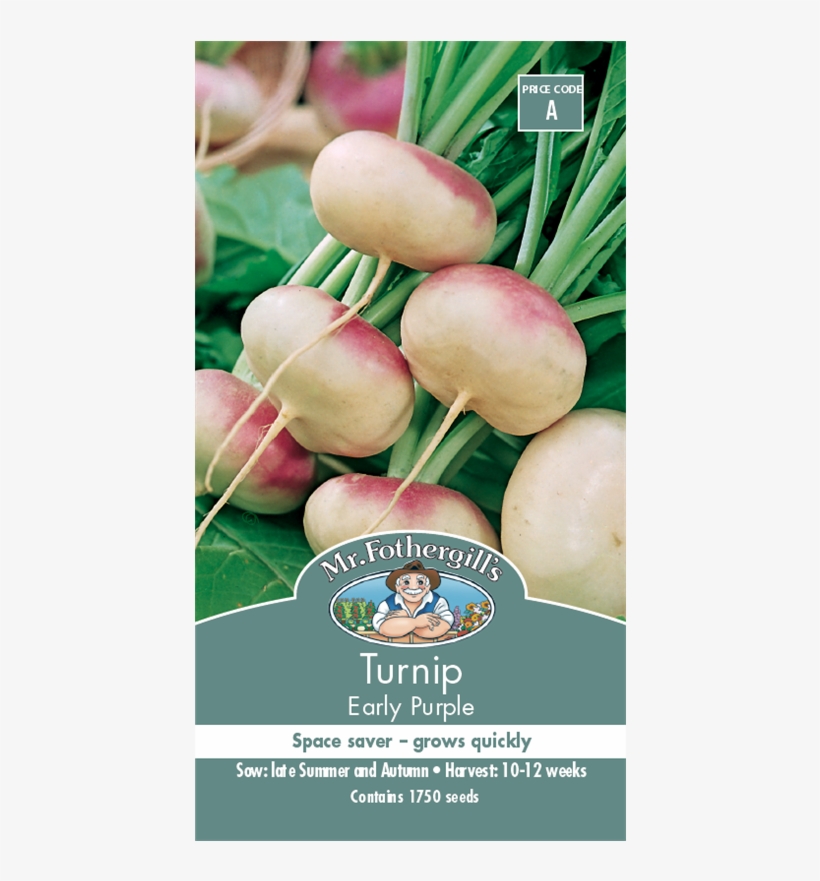 Mr Fothergill's Seed Turnip Early Purple - Turnip Purple Top Milan, transparent png #8141743