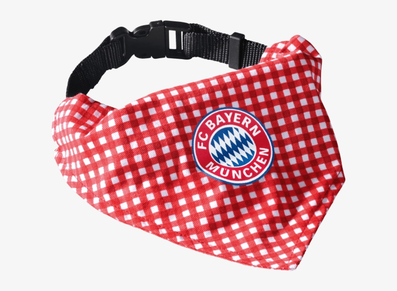 Bayern Munich, transparent png #8141783