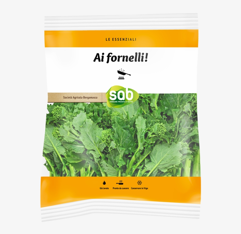 Arugula, transparent png #8141917