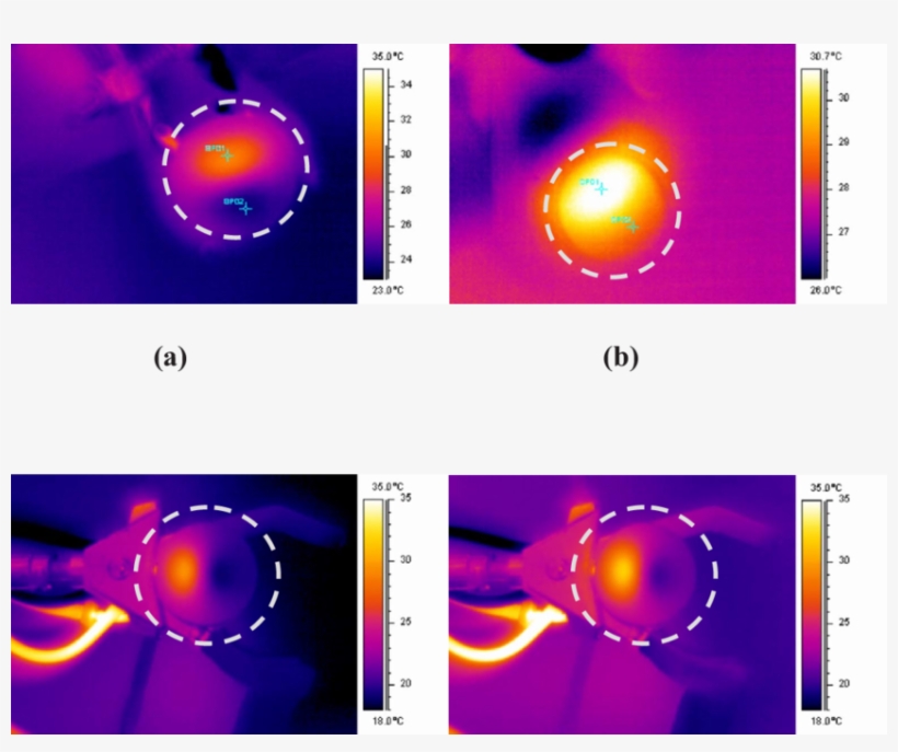 Download - Circle, transparent png #8142935