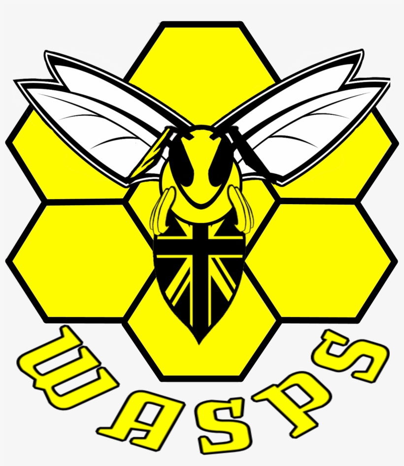 Inspired Slightly By The Charlotte Hornets Modern Logo, - Emblem, transparent png #8143571