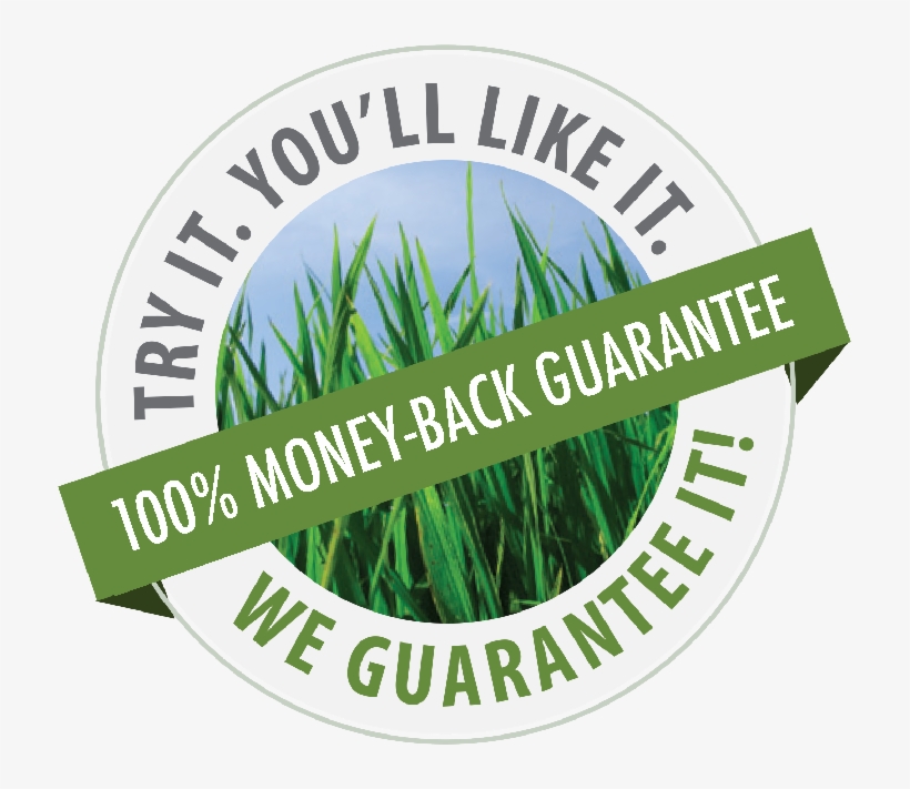 Money Back - Top Employers For Young People, transparent png #8143900