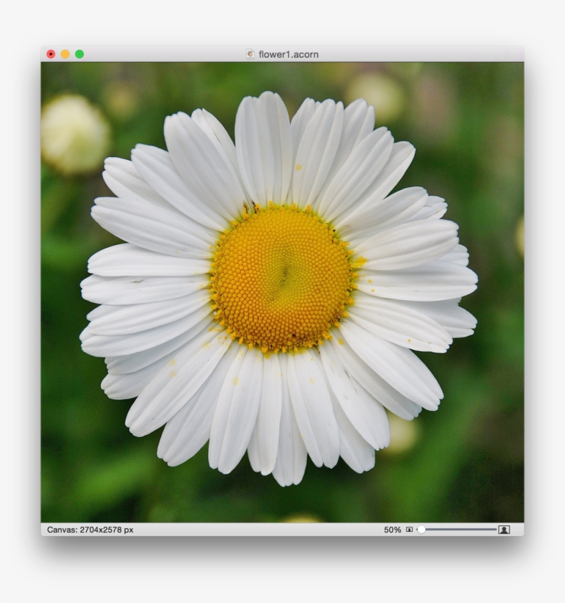 Image Library Acorn Scrapbooking Screen Shot At Pmpng - Wenn Du Mich Nicht Liebst, transparent png #8144068