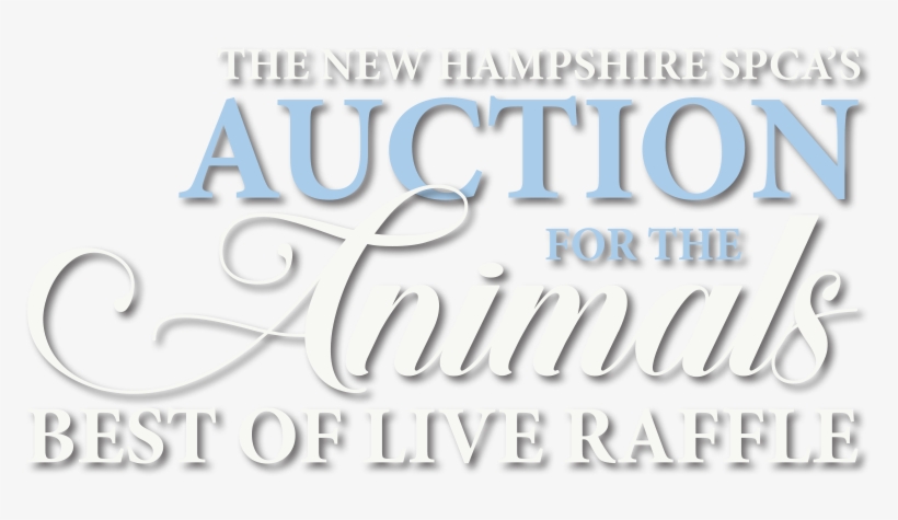 About The Best Of Live Raffle - Motionwear, transparent png #8145055