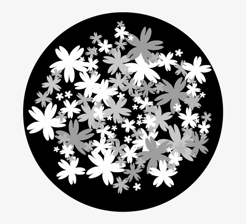 Apollo Design 6133 Bed Of Flowers B&w Superresolution - African Daisy, transparent png #8146323